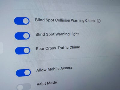 2025 Tesla Model 3 Standard