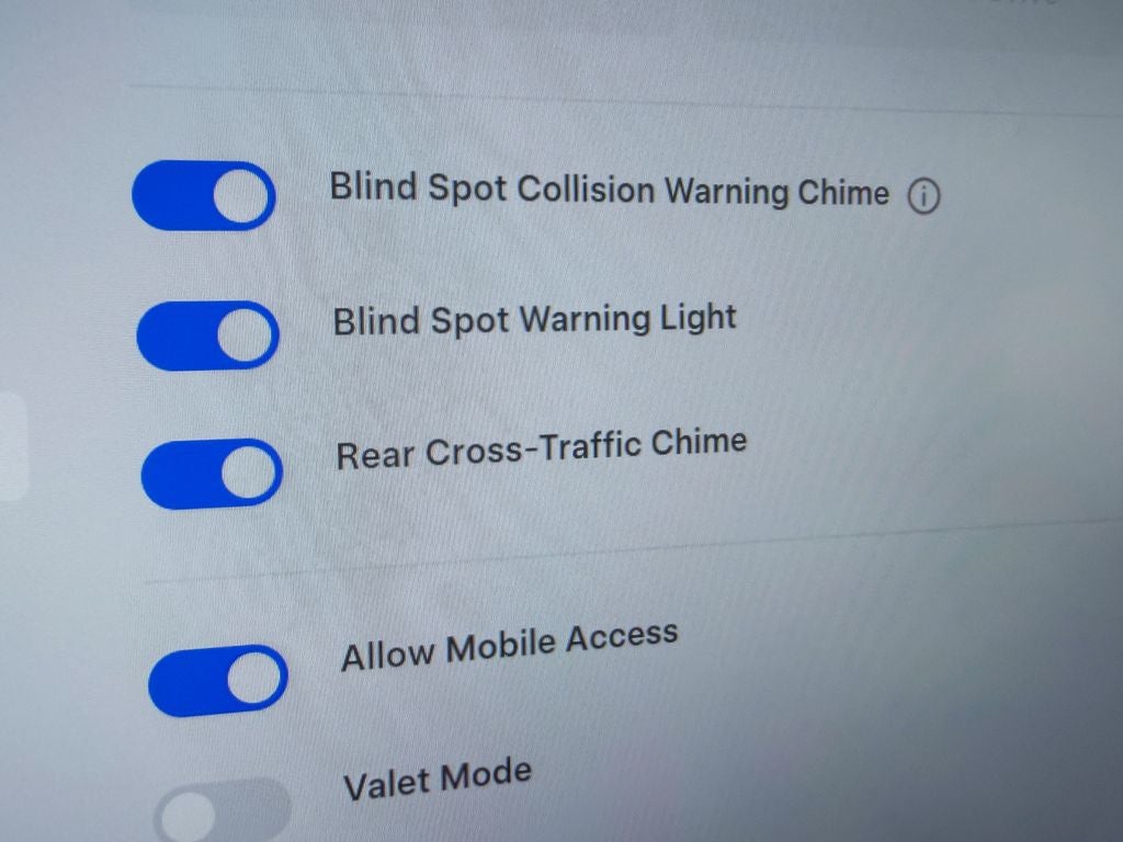2025 Tesla Model 3 Standard