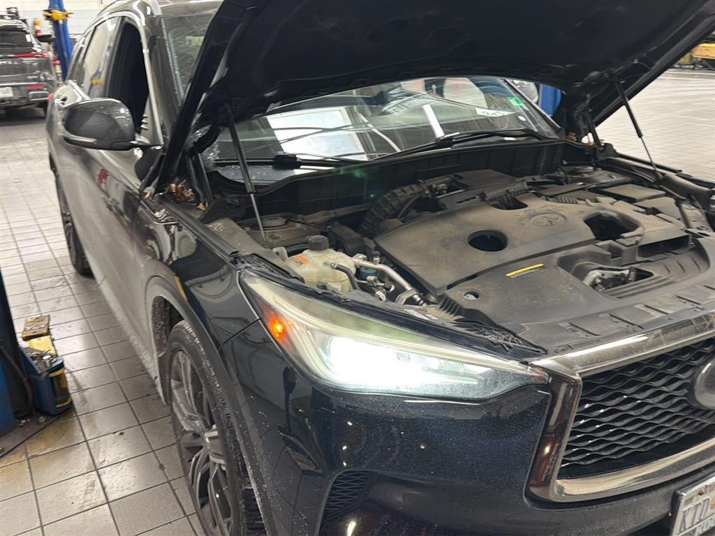 2021 INFINITI QX50 LUXE