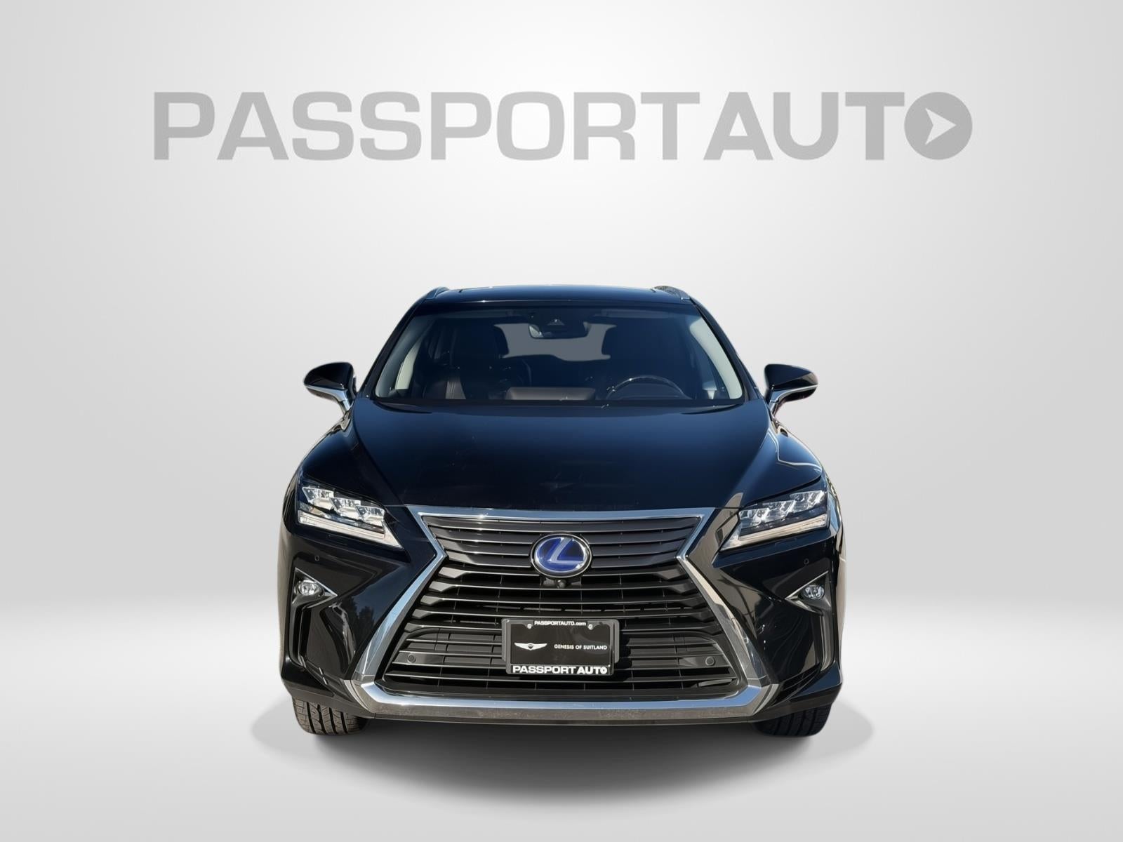 2019 Lexus RX RX 450hL Premium